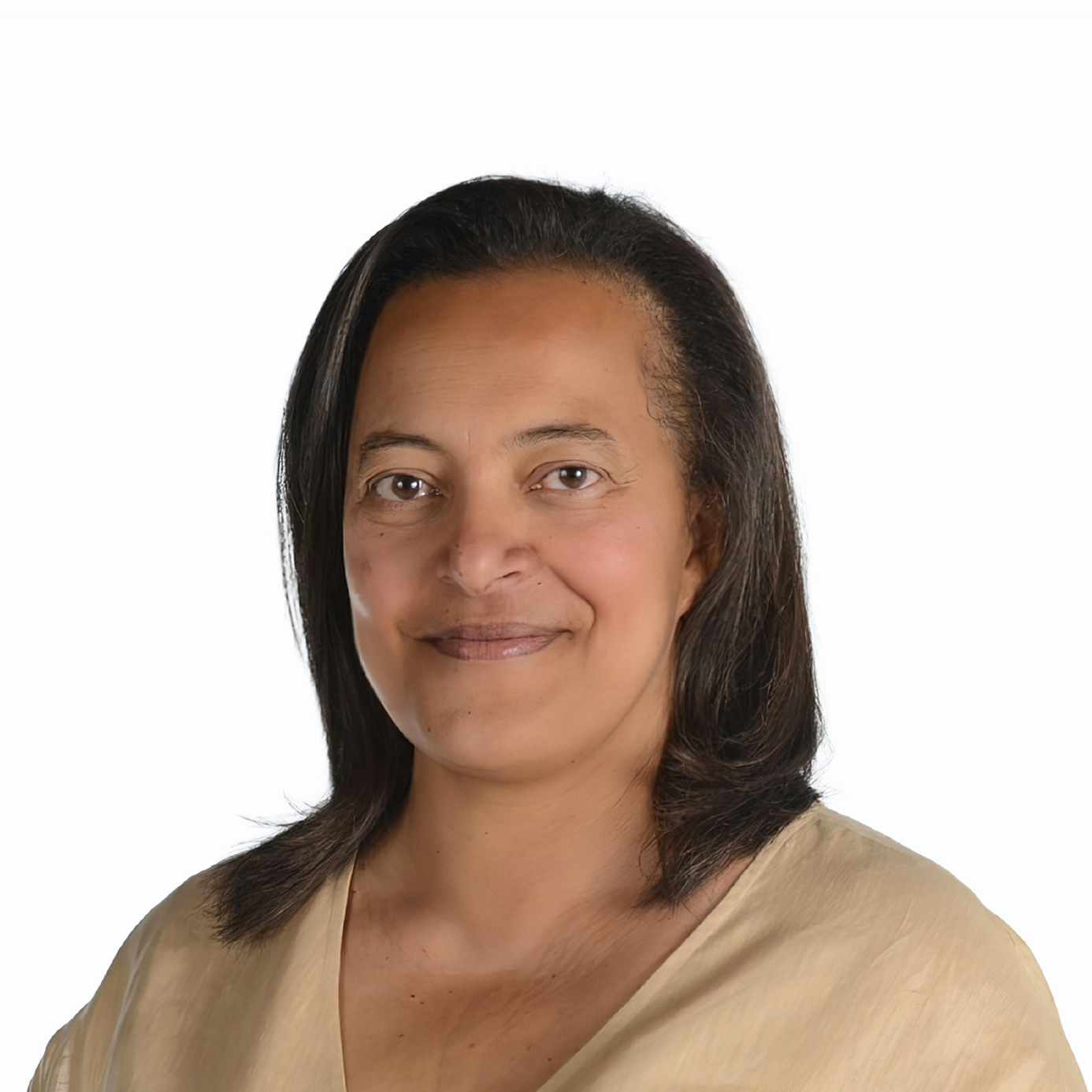 Vice-presidente Elvira Sequeira