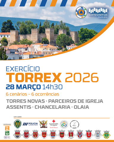Simulacro à escala real TORREX 2026