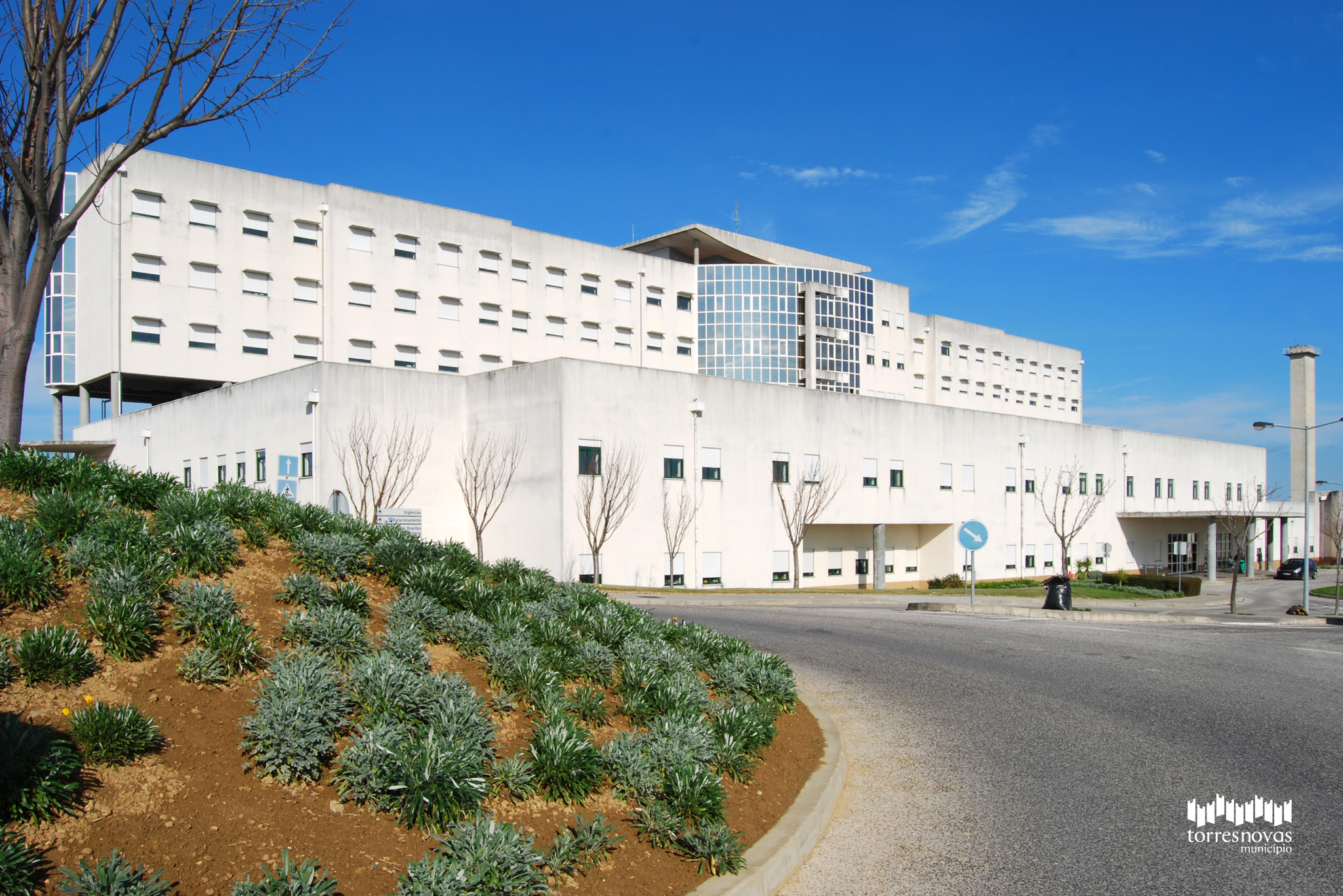 Proposta de “Rede de Referenciação Hospitalar – Pediatria” - Contributo da Câmara Municipal de Torres Novas