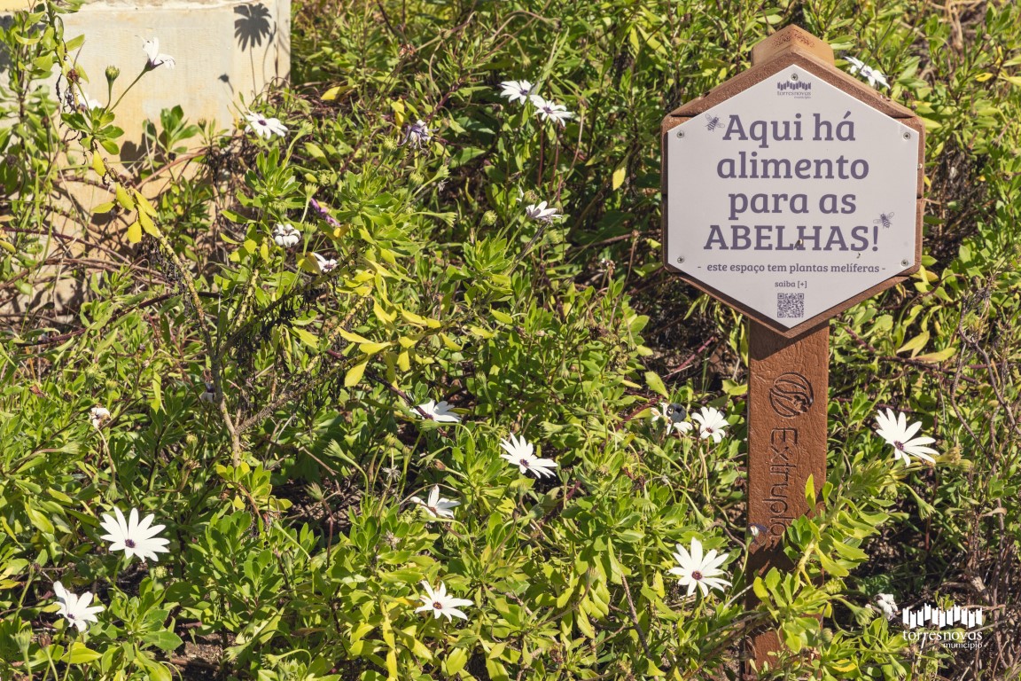 Placa abelhas maquete