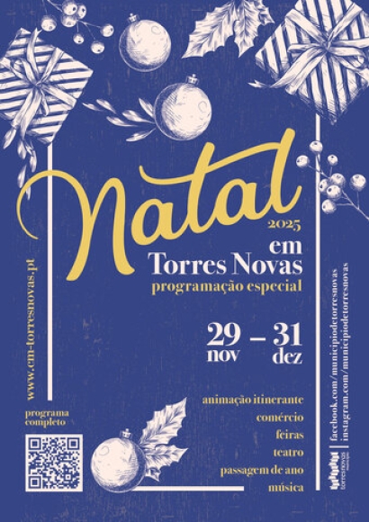 Animação de Natal em Torres Novas
