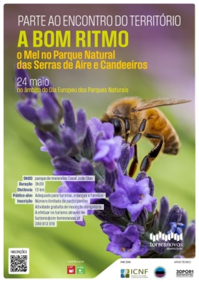 Parte ao Encontro do Território - A Bom Ritmo | O mel no Parque Natural das Serras de Aire e Candeeiros